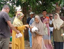Idul Adha, Hampir Semua Desa di Bireuen Sembelih Hewan Kurban