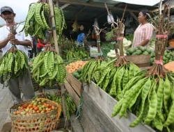 Harga Petai di Pasar Blangpidie Stabil, Pasokan dari Petani Lokal hingga Wonogiri