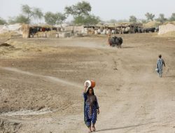 Belawan Jadi Daerah Terpanas di Indonesia Hari Ini, Suhu Sentuh 37,9 Derajat Celcius