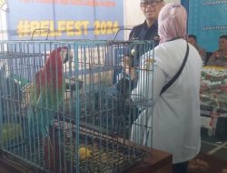 Bea Cukai Langsa Sita Burung Impor Ilegal Senilai Rp 528 Juta, Rugikan Negara hingga Rp 134 Juta