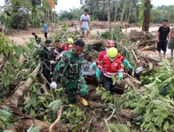 Sawah Berlumpur Diuji Lab Untuk Ketahui Apakah Layak Ditanami Padi