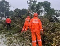 Angin Puting Beliung Terjang Tanjung Priok Pohon Tumbang dan Kanopi Rumah Roboh