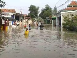 Sungai Cisanggarung Meluap 4 Desa di Losari Brebes Terendam Banjir 950 Keluarga Terdampak